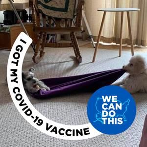 Meet your Posher, Antoinette